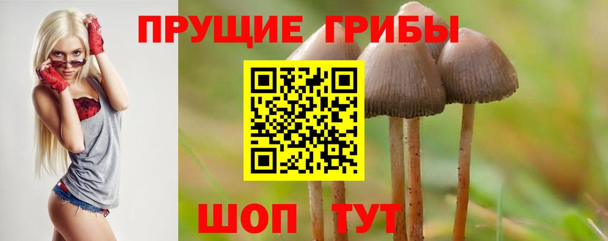 Галлюциногенные грибы GOLDEN TEACHER Златоуст